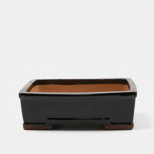 31cm Glazed Bonsai Pot | Rectangle | 31cm x 25cm x 10cm | Black