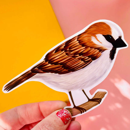 Garden Birds 10cm Vinyl Stickers: Nature Inspired Waterproof Decals