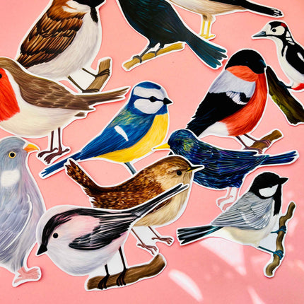 Garden Birds 10cm Vinyl Stickers: Nature Inspired Waterproof Decals