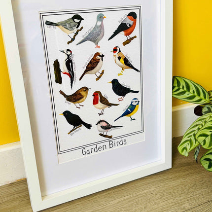 Garden British Birds Art Print-: Multiple Sizes available