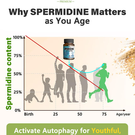 Spermidine & Fisetin Supplement – 20mg Spermidine, 300mg Fisetin | 60 Veggie Caps | Made in USA