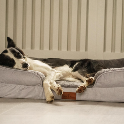 The Belgravia Orthopaedic Dog Sofa™ - Large