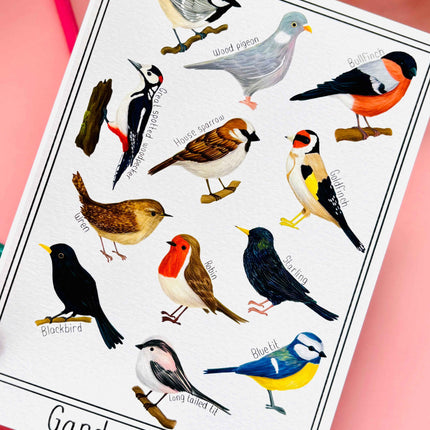 Garden British Birds Art Print-: Multiple Sizes available