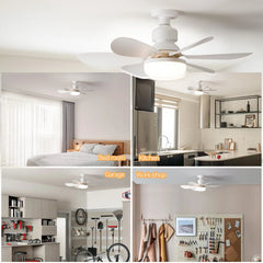 IRALAN Modern ceiling led light fan 52CM 42CM silent with remote control ceiling fan lamp for room office study kitchen