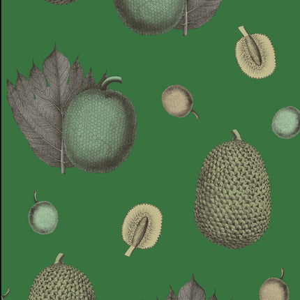 Tropical Fruit Wallpaper