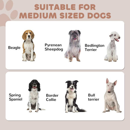 Create a Neater Feeding Corner – Raised Dog Bowl Storage Station