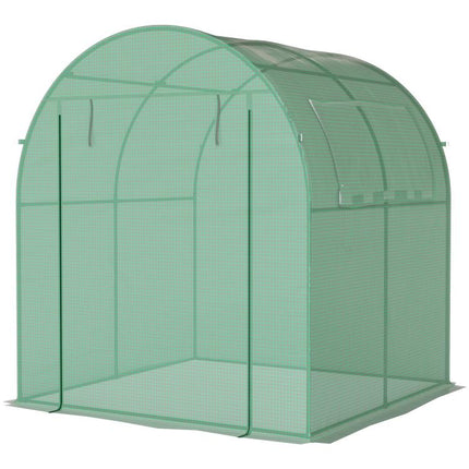 Walk in Polytunnel Greenhouse, Green House for Garden with Roll-up Window and Door, 1.8 x 1.8 x 2 m, Green