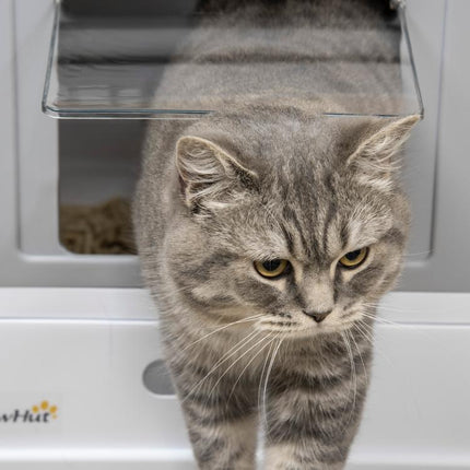 Keep Cat Care Neater – Hooded Grey Litter Box with Scoop