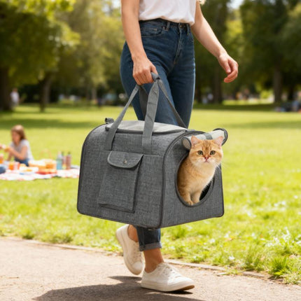 Soft Sided Cat Carrier Bag, Portable Foldable Pet Carrier with Shoulder Strap & Removable Mat for Small Pet Up to 10kg