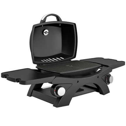 2 Burner Outdoor Gas Barbecue 3.8kW Steel Grill with 2 Detachable Shelves