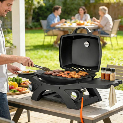 2 Burner Outdoor Gas Barbecue 3.8kW Steel Grill with 2 Detachable Shelves