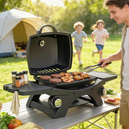 2 Burner Outdoor Gas Barbecue 3.8kW Steel Grill with 2 Detachable Shelves