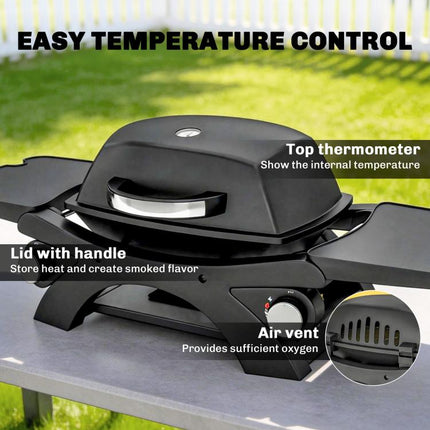 2 Burner Outdoor Gas Barbecue 3.8kW Steel Grill with 2 Detachable Shelves