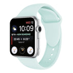 Apple Watch 42mm / Turquoise