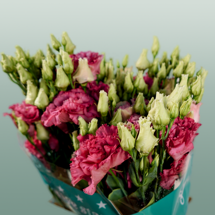 Eustoma Alissa Rose (10 Stems)