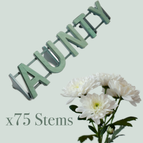 Aunty