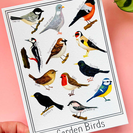 Garden British Birds Art Print-: Multiple Sizes available