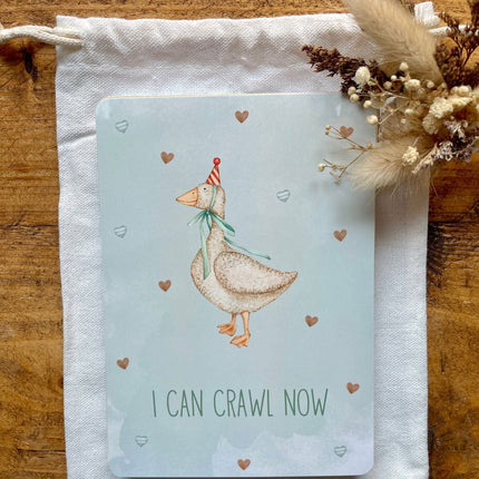 Baby Milestone Cards