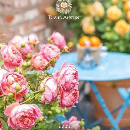David Austin Brochure (Free)