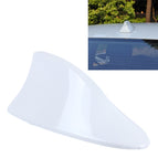Aerial Shark / White