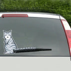 Smiling Cat / CMS3235B
