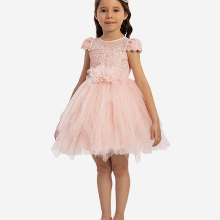 DRESS & Fleur Baby Girls Dress with Tulle Skirt in Pink