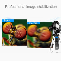 RST-7004 LCD Screen Time Lapse Intervalometer Shutter Release Digital Timer Remote Controller with N8 Cable for NIKON D3X/D3/D700/D300/D2X/D2H/D200/D1H/D1X/D800 Camera