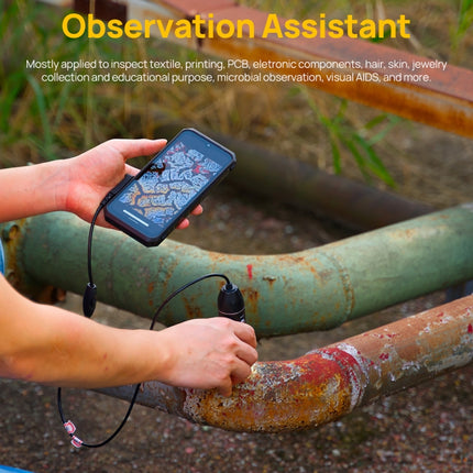 DE0024B_11.jpg@33a7227f209f44c42abb8aaa1caa7e17