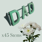 Dad