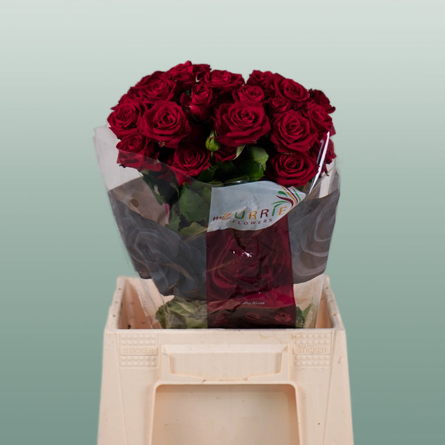 Spray Rose Dominica
