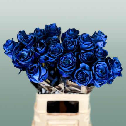Rose Dyed Blue
