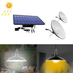 White Light / Black Lampshade