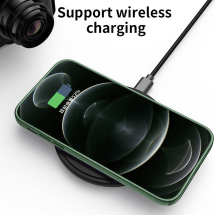 Ultra-thin Electroplating Dandelion Pattern Protective Case, For iPhone 12 Pro Max, For iPhone 12 Pro, For iPhone 12