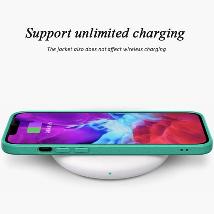 Starry Series Shockproof Straw Material + TPU Protective Case, For iPhone 13, For iPhone 13 mini, For iPhone 13 Pro Max