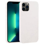 For iPhone 13 Pro Max / Starlight