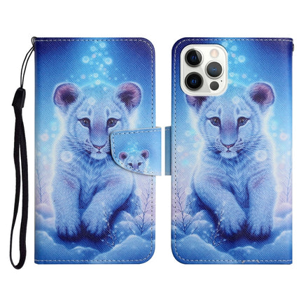 Painted Pattern Horizontal Flip Leather Case with Holder & Card Slot & Wallet, For iPhone 12 Pro Max