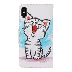 3D Colored Drawing Horizontal Flip PU Leather Case with Holder & Card Slots & Wallet, For iPhone XS Max