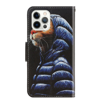 3D Colored Drawing Horizontal Flip Leather Phone Case, For iPhone 13 Pro Max