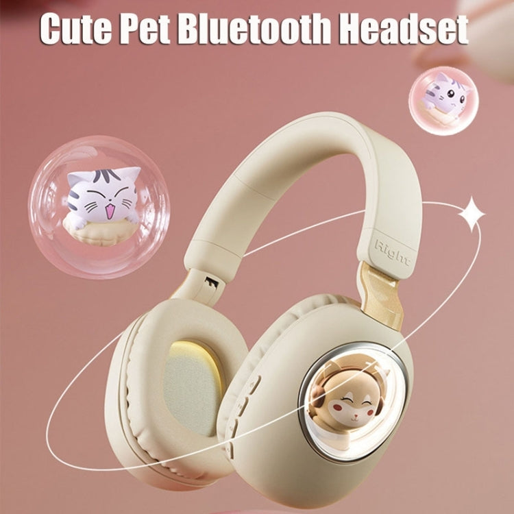 B4 RGB Cartoon Stereo Headset Wireless Bluetooth Headphones, Cat, Squirrel