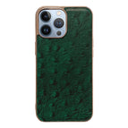 For iPhone 13 Pro Max / Green