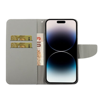 Colored Drawing Leather Phone Case, For iPhone 14 Pro Max