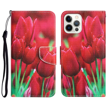 Colored Drawing Leather Phone Case, For iPhone 14 Pro Max