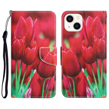 Colored Drawing Leather Phone Case, For iPhone 13