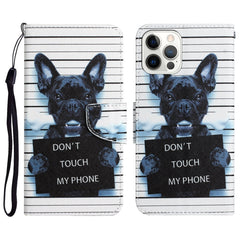 Colored Drawing Leather Phone Case, For iPhone 13 Pro Max
