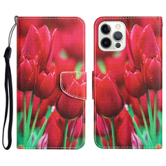 Colored Drawing Leather Phone Case, For iPhone 13 Pro Max