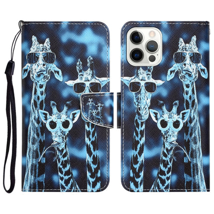 Colored Drawing Leather Phone Case, For iPhone 13 Pro Max