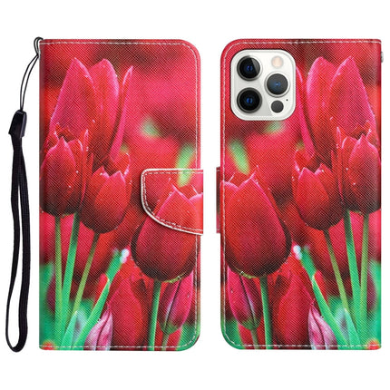 Colored Drawing Leather Phone Case, For iPhone 12 / 12 Pro