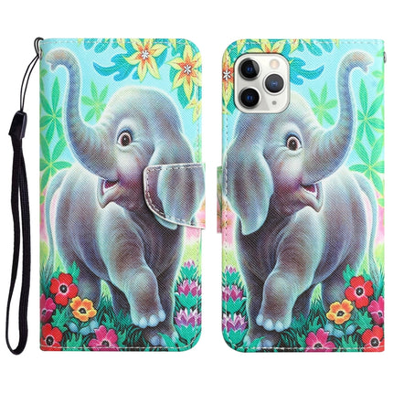 Colored Drawing Leather Phone Case, For iPhone 11 Pro