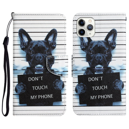 Colored Drawing Leather Phone Case, For iPhone 11 Pro