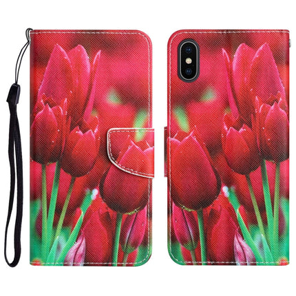 Colored Drawing Leather Phone Case, For iPhone XS Max